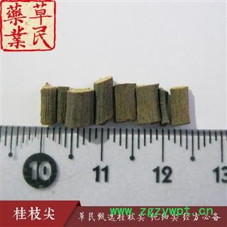 草民甄选桂枝尖 纯细尖 经方必备 生切桂枝尖 专业批发 量大从优图3
