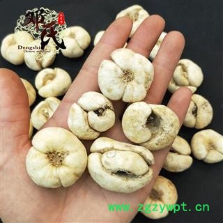 【满包邮】浙贝母 大贝 选个 优选品质 产地直供 邓氏中药批发图4