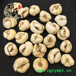 【满包邮】浙贝母 大贝 选个 优选品质 产地直供 邓氏中药批发图3