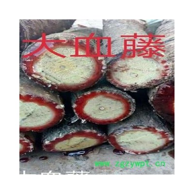 野生新鲜白血藤 生品血藤 大血藤 白肉鸡血藤 白花血藤 现砍现发保证新鲜 整条发货