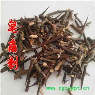 皂角刺 天丁 纯刺野生无枝条