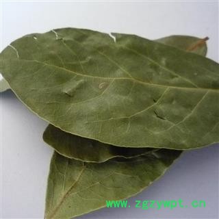 香叶个整  选  海外批发香料 中药材 花茶。可打粉图3