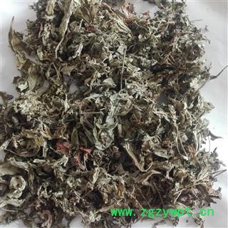 艾叶 艾叶，艾草，大叶统货， 产地 河南省图3