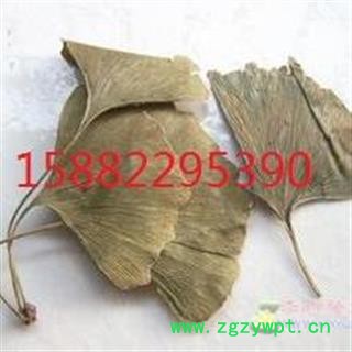 优质银杏叶  选装 青叶   浙江一级货  库存1000可售图3