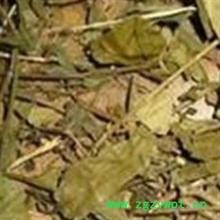 京辉药业 武靴藤 匙羹藤 金刚藤 蛇天角 饭杓藤 正品优惠 促销图2