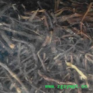 中药材 吐丝子草 菟丝子草 菟丝子藤 正品 促销图3