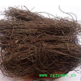 中药材 吐丝子草 菟丝子草 菟丝子藤 正品 促销图2