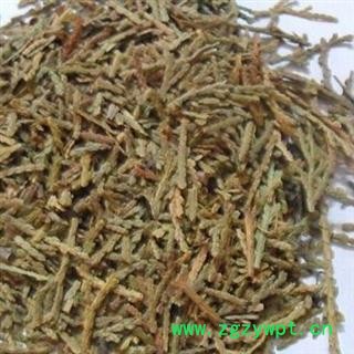 侧柏叶 统 产地 山东省图2