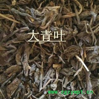大青叶 统 产地 山东省图2