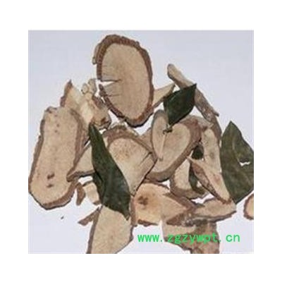 七叶莲 统 产地 广西壮族自治区梧州市万