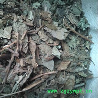 臭梧桐叶 根统 产地 安徽省亳州市谯城区图3