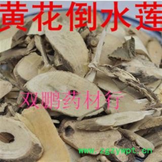 黄花倒水莲 统 产地 广西壮族自治区玉林市玉州区图2