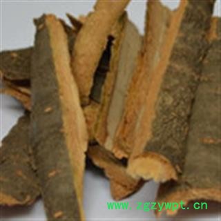 京辉药业 暴马皮 暴马子皮 优质 促销图2