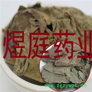 煜庭药业 龙利叶  龙脷叶 龙俐叶 舌叶 龙味叶 牛耳叶图4