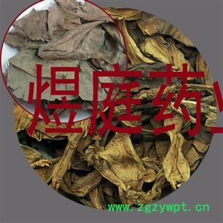 煜庭药业 龙利叶  龙脷叶 龙俐叶 舌叶 龙味叶 牛耳叶图2