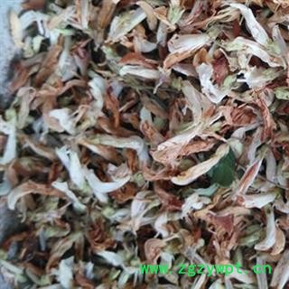 煜庭药业 生血草 金雀根 金雀花 一颗血图2