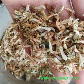 煜庭药业 生血草 金雀根 金雀花 一颗血图4