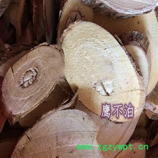 煜庭药业 楤木根 楤木 鹰不泊 楤木根 鸟不宿 鸟不踏 鸟不落 鹰不泊图3