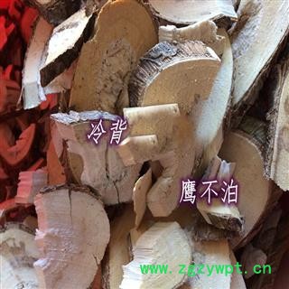 煜庭药业 楤木根 楤木 鹰不泊 楤木根 鸟不宿 鸟不踏 鸟不落 鹰不泊图2