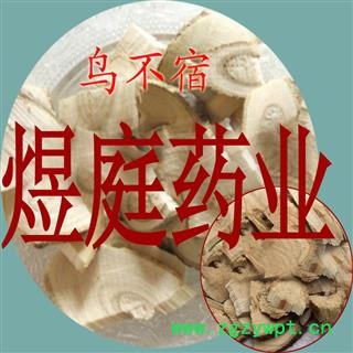 煜庭药业 楤木根 楤木 鹰不泊 楤木根 鸟不宿 鸟不踏 鸟不落 鹰不泊图4