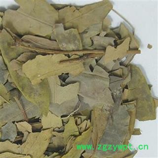 煜庭药业 八角叶图3