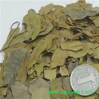 煜庭药业 八角叶图4