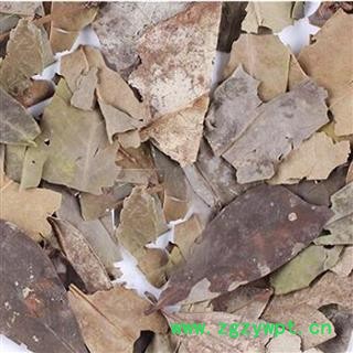 煜庭药业 八角叶图2