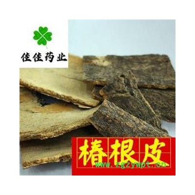 椿根皮 统 产地 山东省 椿根皮 椿皮