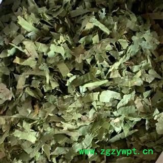 淫羊藿 净货 产地 甘肃省图2