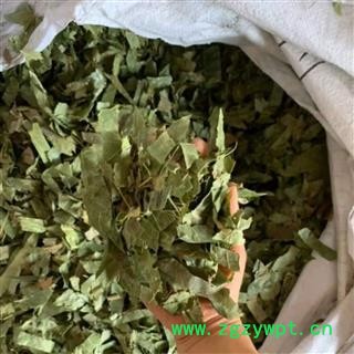 淫羊藿 净货 产地 甘肃省图3