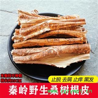 桑白皮1000克 秦岭野生桑树根皮老桑皮中药材桑树皮桑树皮洗头去屑图2