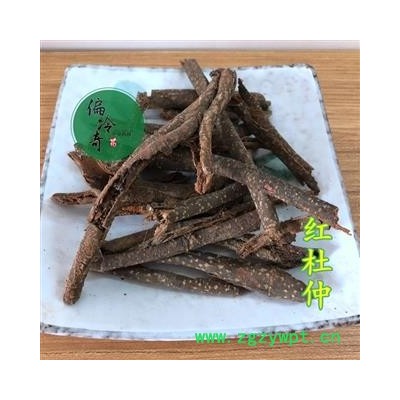 红杜仲 毛杜仲藤、红皮杜仲 统条 产地 广西壮族自治区玉林市