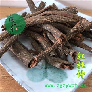 红杜仲 毛杜仲藤、红皮杜仲 统条 产地 广西壮族自治区玉林市图3