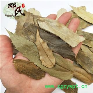 【满包邮】功劳木 十大功劳木叶 统货 优选品质 产地直供 邓氏中药批发图4
