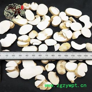 【满包邮】浙贝母 大贝 统片 优选品质 产地直供 邓氏中药批发图3