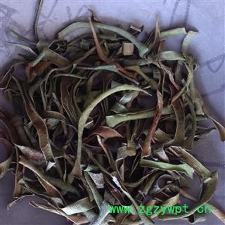 灵吉药业  芦荟叶  精选 正品  芦荟叶图2