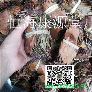 恒海康源堂山楂叶 选叶 产地 山东省淄博市图2