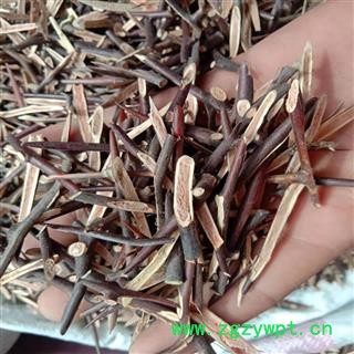 皂角刺 各种规格中统 产地 山东省枣庄市山亭区图2