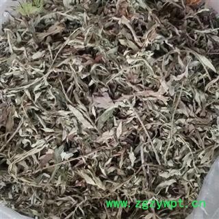 艾叶 统 产地 山东省临沂市  大货优惠
