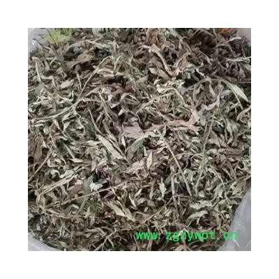 艾叶 统 产地 山东省临沂市  大货优惠