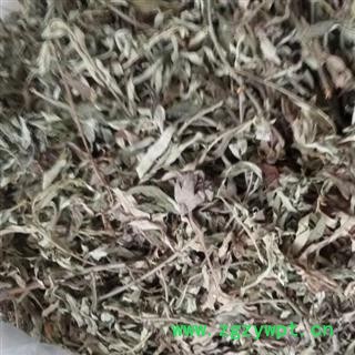 艾叶 统 产地 山东省临沂市  大货优惠图2