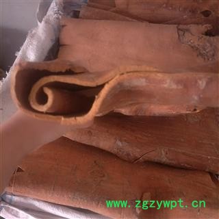 肉桂 刮皮 选装 厚 产地直销 广西壮族自治区玉林市图2