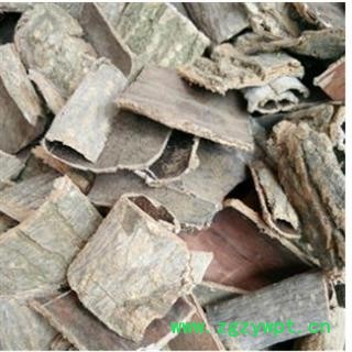 杜仲 生杜仲 统 产地  产地 四川省图2