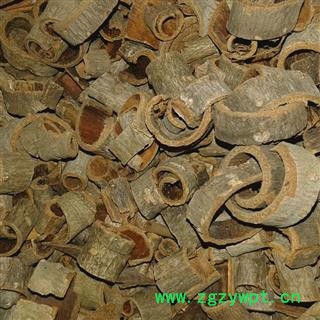 川朴 大统 产地 四川省攀枝花市盐边县图2