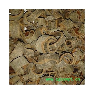 川朴 大统 产地 四川省攀枝花市盐边县