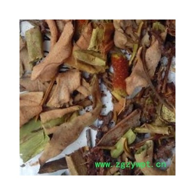 石韦 统  产地 云南省