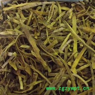 黄柏 统 产地 辽宁省 2013图2