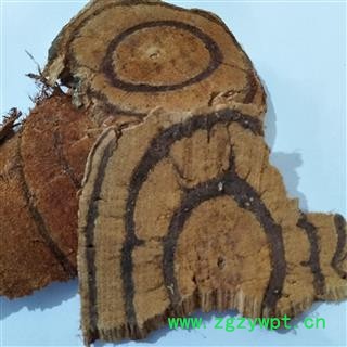 鸡血藤 鸡血藤统片 产地 广西壮族自治区图4