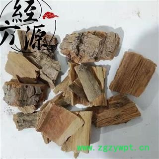 喜树皮T 水栗 水桐树 千张树图2