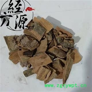 喜树皮T 水栗 水桐树 千张树图3